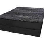  untitled design 2 1 600x450 1jpg